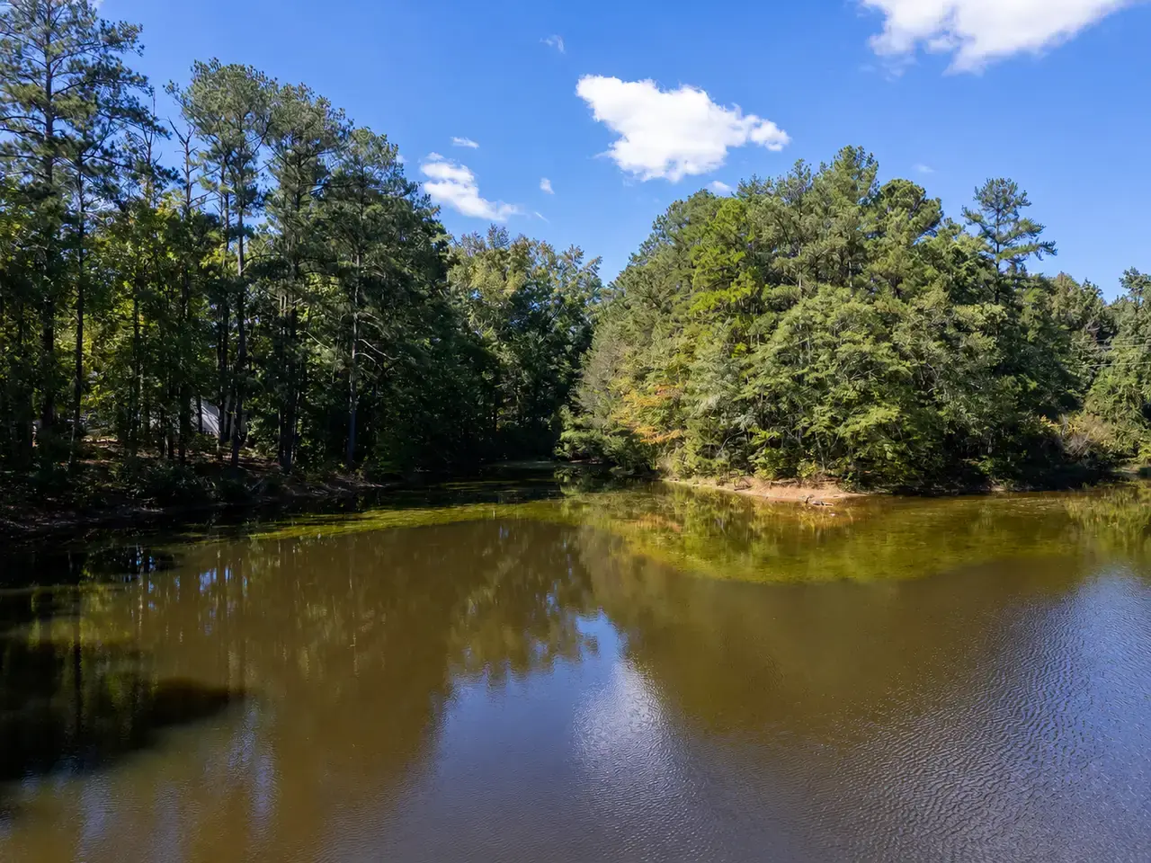 The lake at The Woods at Shannon Lake under a blue sky